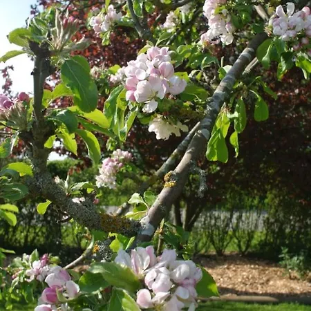 Sofryd Nocleg ze śniadaniem 4*