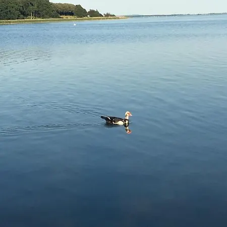 Sofryd Bed & Breakfast 4*