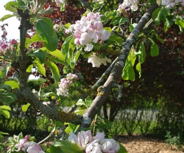 Sofryd Bed and Breakfast 4*