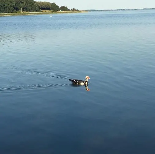 Sofryd Bed and Breakfast 4*