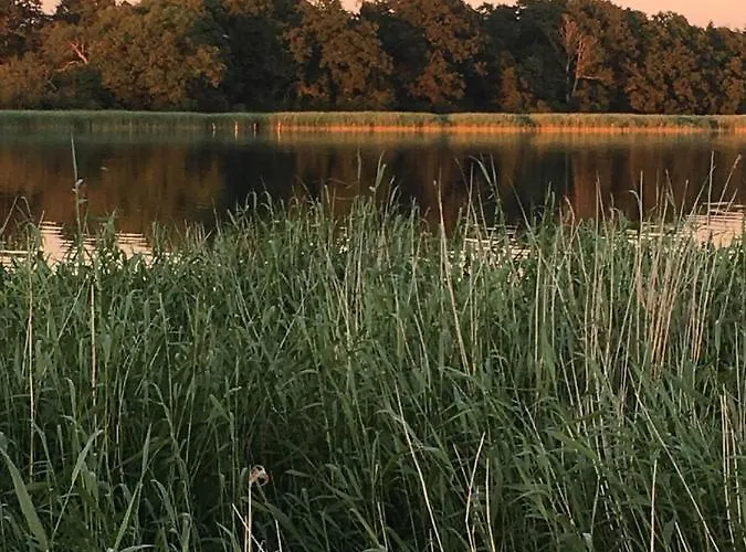 Sofryd Bed and Breakfast